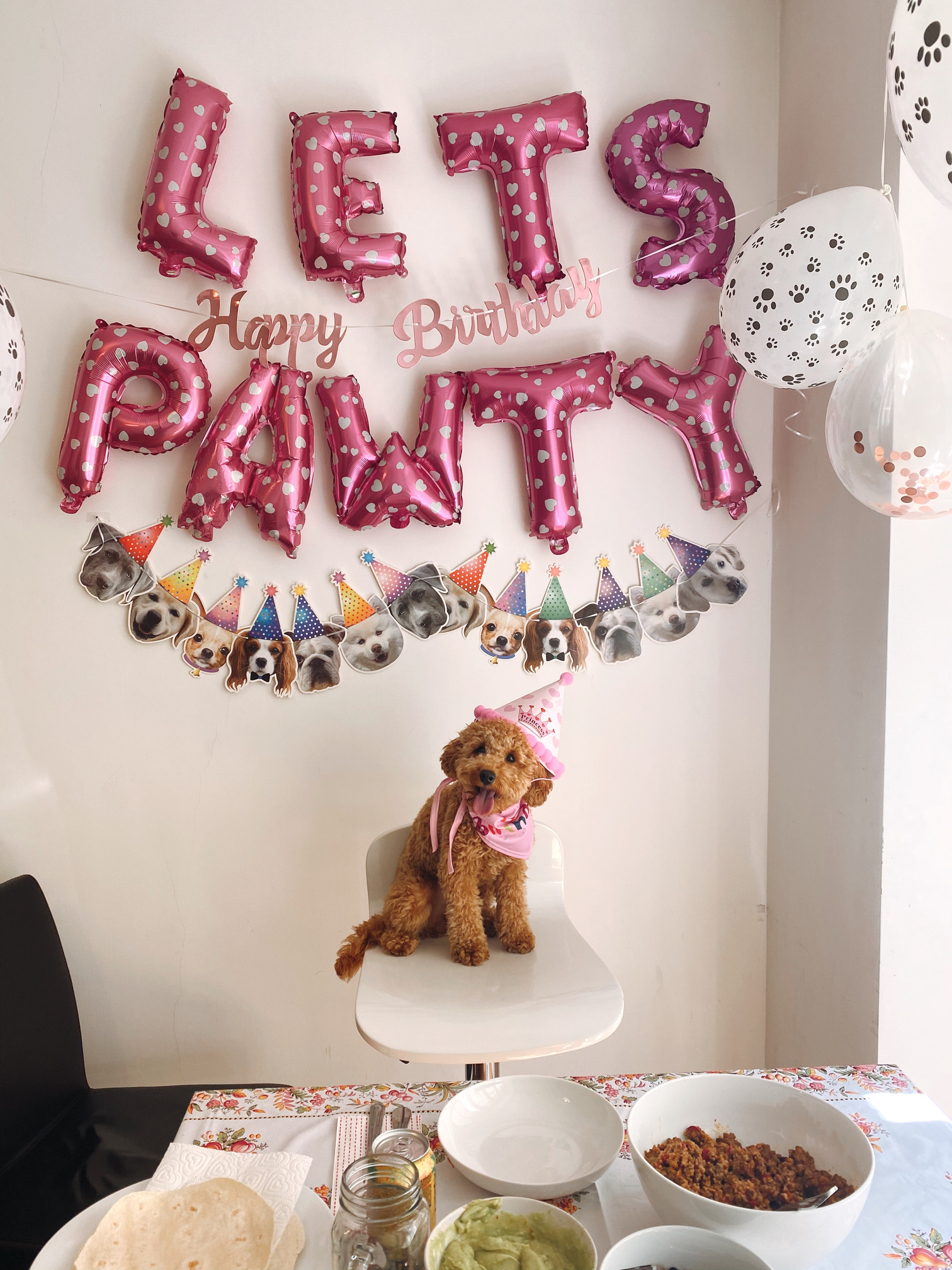 Dog Birthday Party 